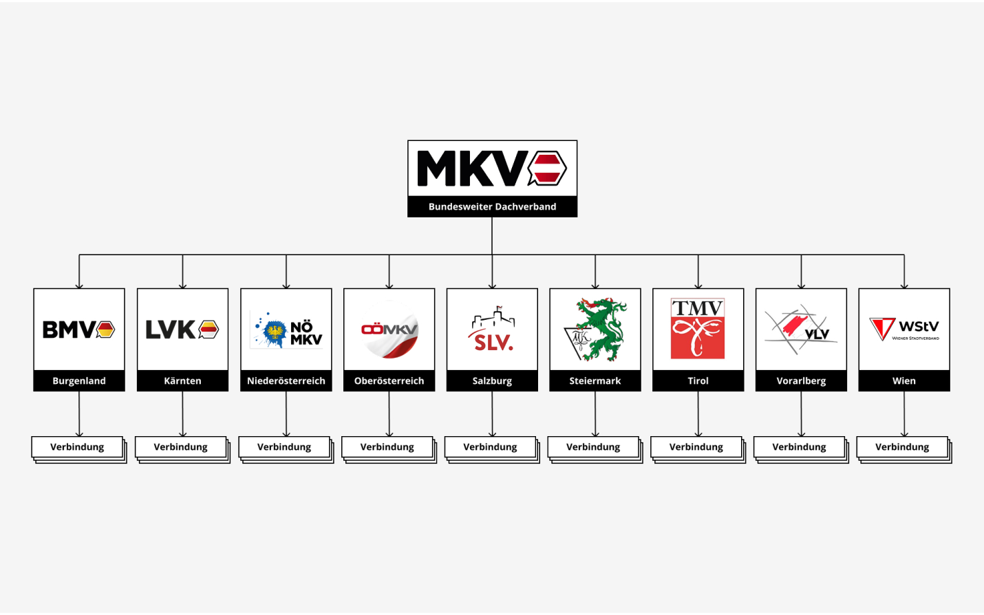 Organigramm der Struktur des MKV.